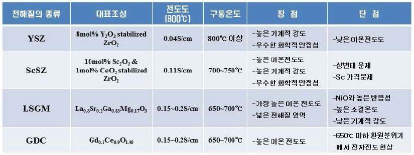 주요 전해질의 특성 비교