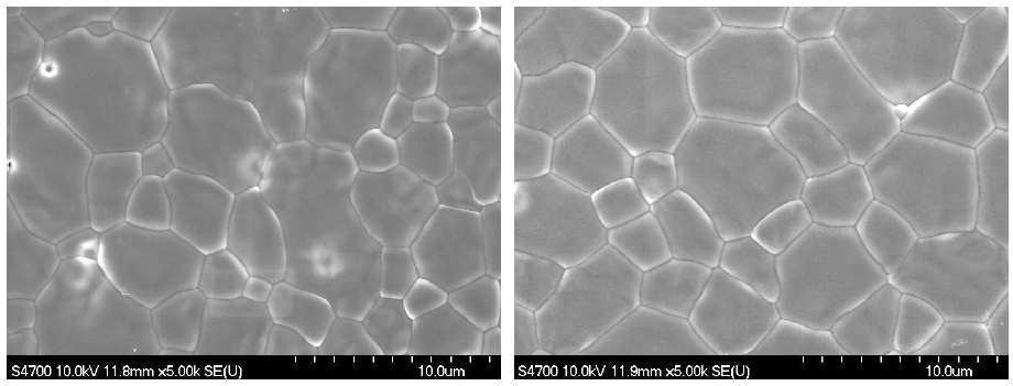 소결한 전해질의 파단면 미세구조