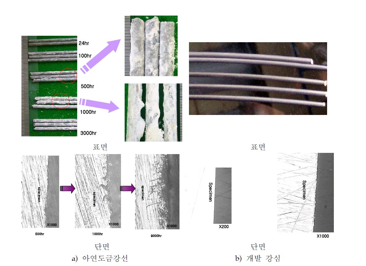 염수분무에 따른 부식거동(Max. 10,000hr)