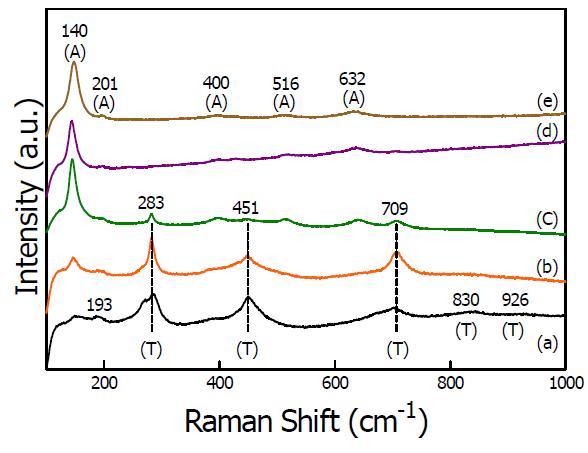 열처리 온도 조건에 따른 코팅된 TiNT 코팅막의 Raman spectrum 결과;