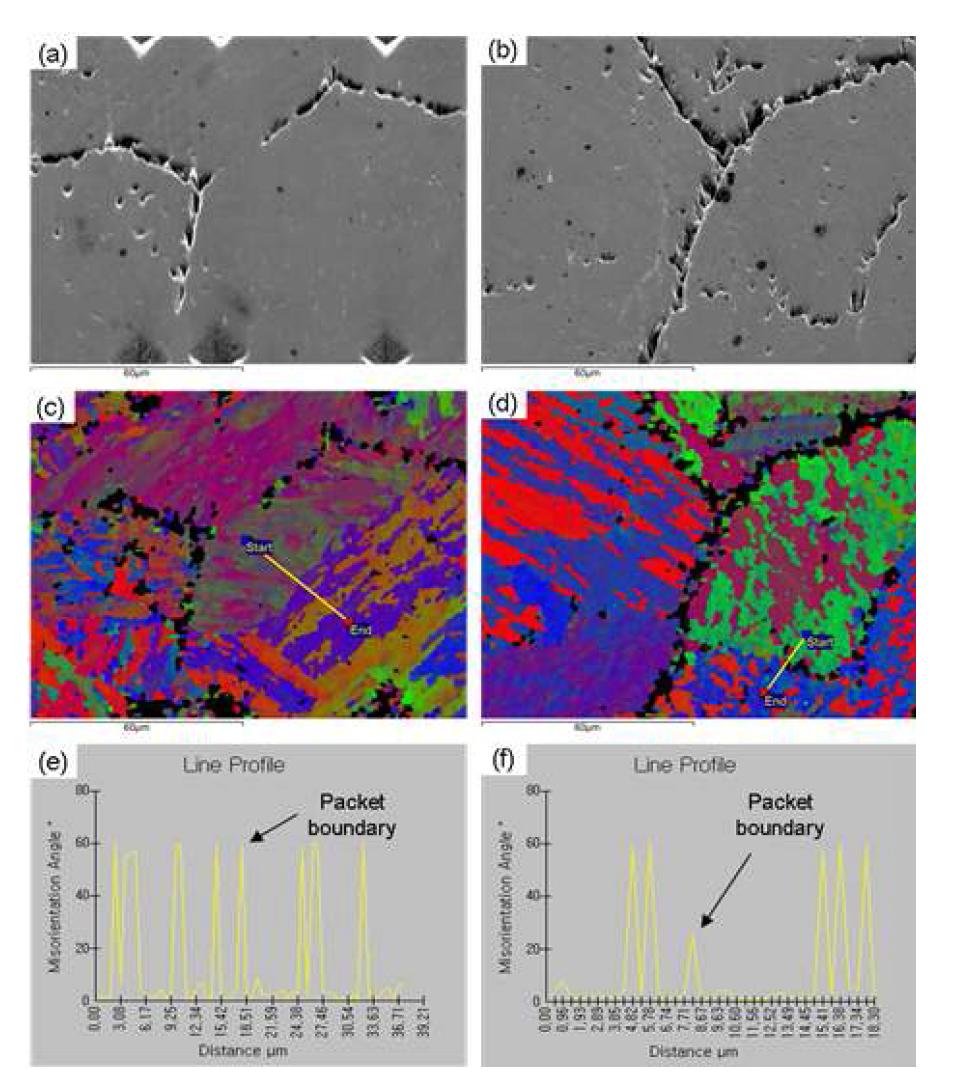 As-quenched 시험편의 SEM 사진 (a) KL4-WQ, (b) KL4-FC, EBSD 분석결과(normal direction) (c) KL4-WQ, (d) KL4-FC, (c)와 (d)에서의 line misorientation angle profile (e) KL4-WQ and (f) KL4-FC.