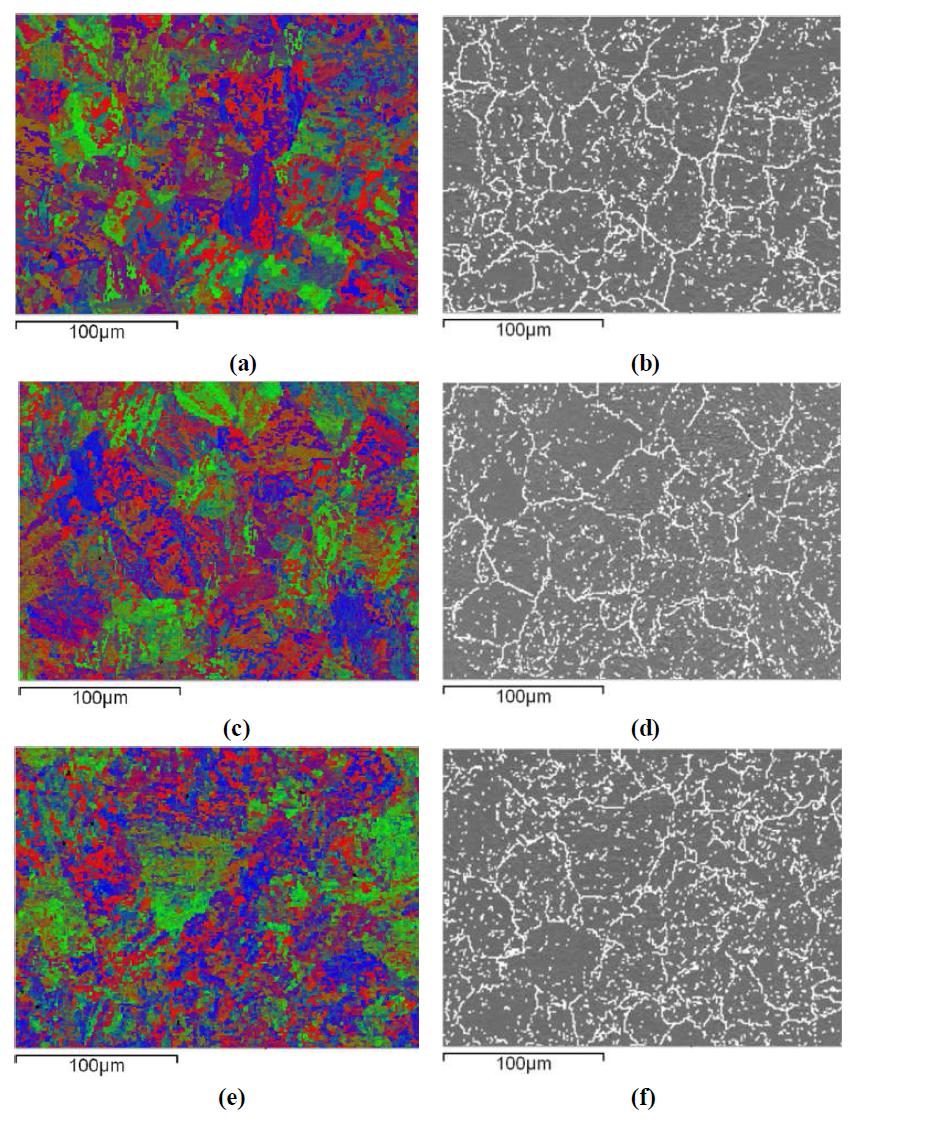 As-received 모델합금의 위치에 다른 EBSD 분석 결정방위지도 (a) 표면부, (c) 3/10T, (e) 중심부 및 구-오스테나이트 결정립계 분포 (b) 표면부, (d) 3/10T, (f) 중심부