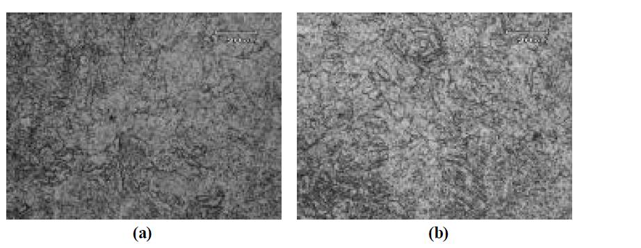 열처리된 모델합금의 미세조직 (a) 표면부, (b) 중심부