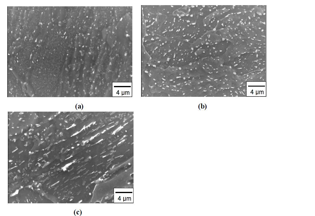 템퍼링 이후 냉각조건에 따른 모사시편의 SEM 사진 (a) 16℃/sec, (b) 0.47℃/sec (c) 0.05℃/sec