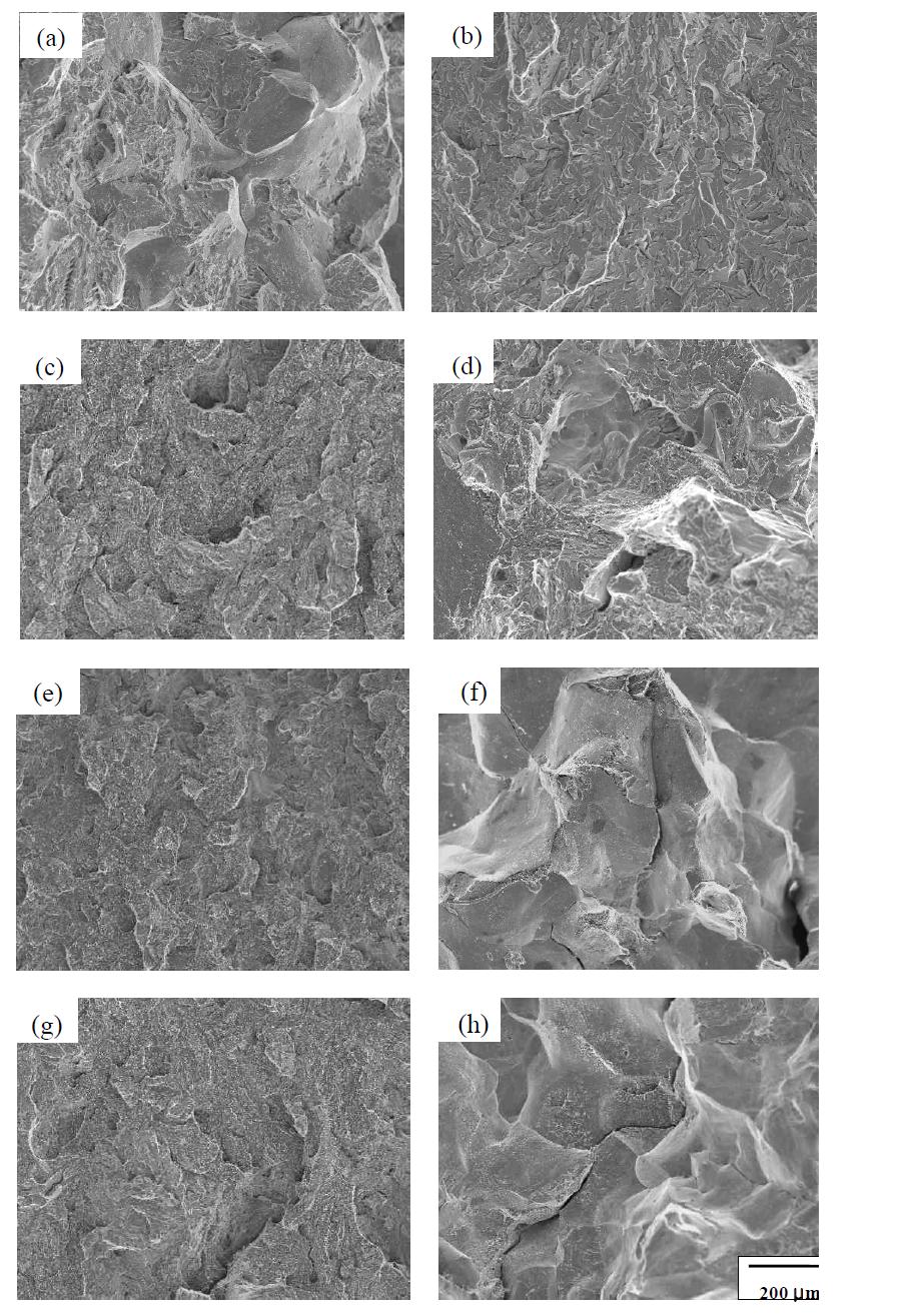 취화된 모델합금의 파면 관찰 (a) Ref, (b) SC, (c) Ni1, (d) Ni2, (e) Cr1, (f) Cr2, (g) Mn1 and (h) Mn2