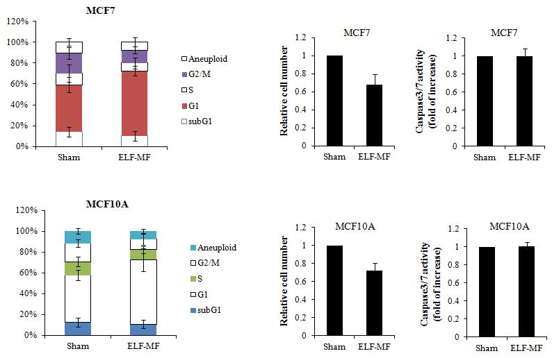 ELF 전자계의 MCF7와 MCF10A 세포주의 세포주기 (왼쪽)와 세포 사멸 영향 반복 검증실험 결과