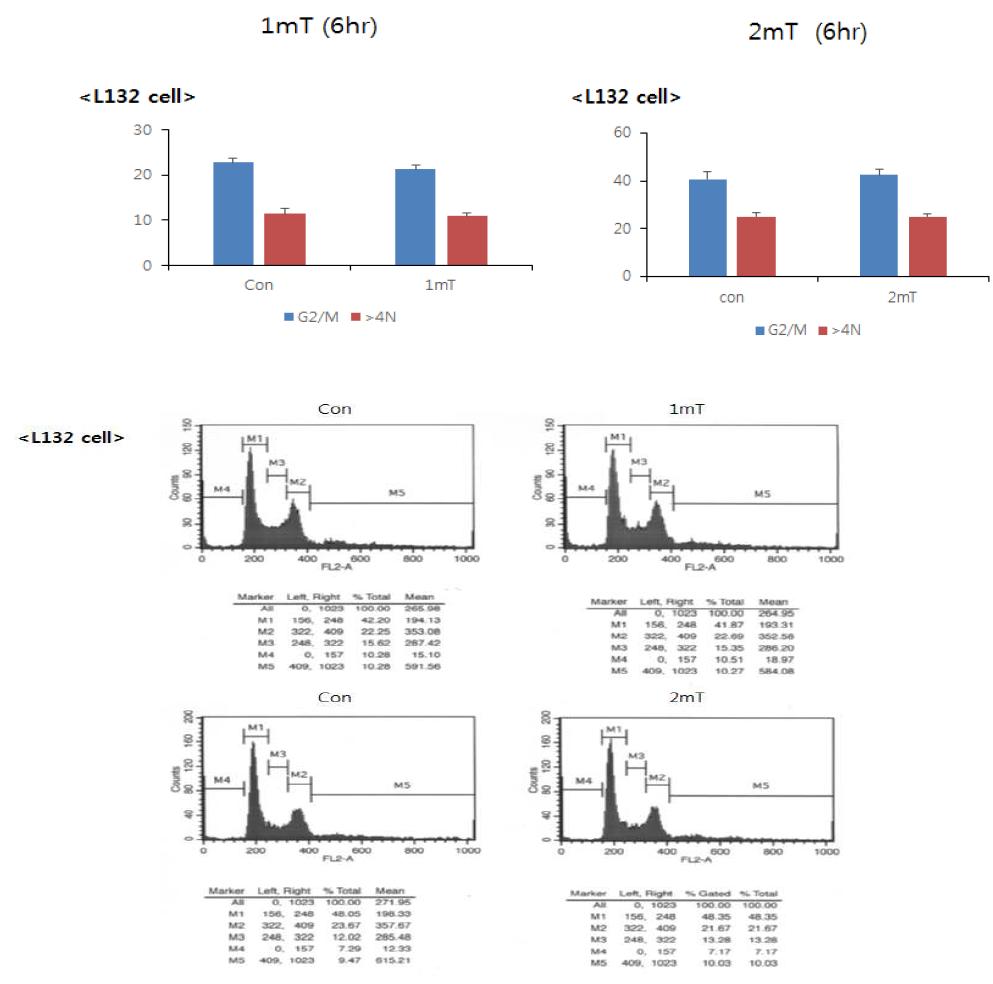 ELF 1 mT 및 2 mT 6시간 노출후 L132 세포에서 다핵형성 및 G2/M phase 세포의 FACS 분석에 의한 정량화. (위) 그래프는 5 회 실험에 대한 Mean∓SD (아래) 대표적인 FACS 분석 데이타