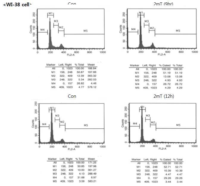 ELF 1 mT 및 2 mT 9시간 및 12시간 노출후 WI8세포에서 다핵 형성 및 G2/M phase 세포의 FACS 분석에 의한 정량화. (위) 그래프는 5 회 실험에 대한 Mean∓SD (아래) 대표적인 FACS 분석 데이타