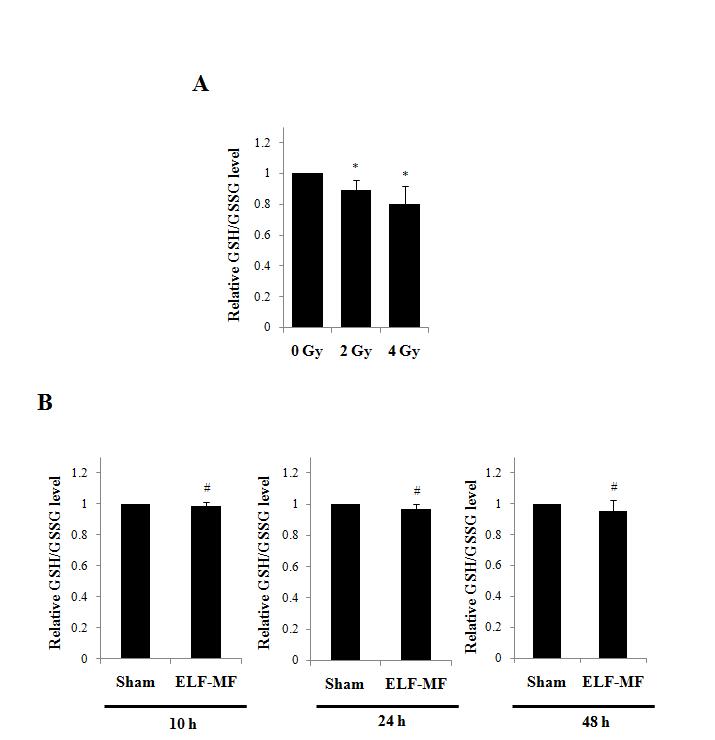 MCF10A 세포주에 방사선(A)과 ELF 전자기장(B)을 노출하고 GSH/GSSG를 분석한 결과