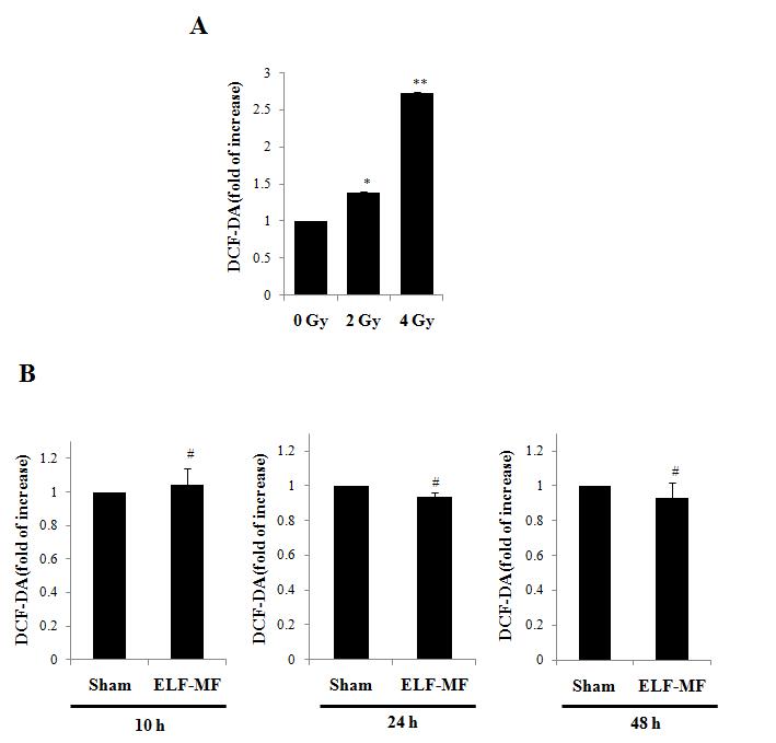 MCF10A 세포주에 방사선(A)과 ELF 전자기장(B)을 노출하고 세포 내 활성산소의 수준을 분석한 결과