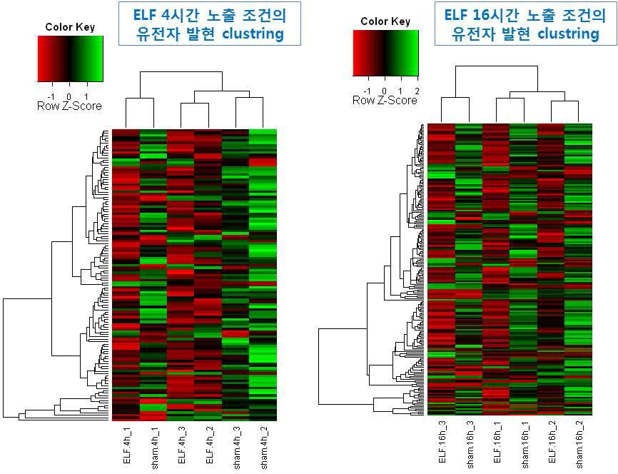 인간유전자 24,000개가 집적된 유전자칩을 이용해 유전자발현에 대한 전자계영향 분석 실험 중 유전자발현 clustering 결과