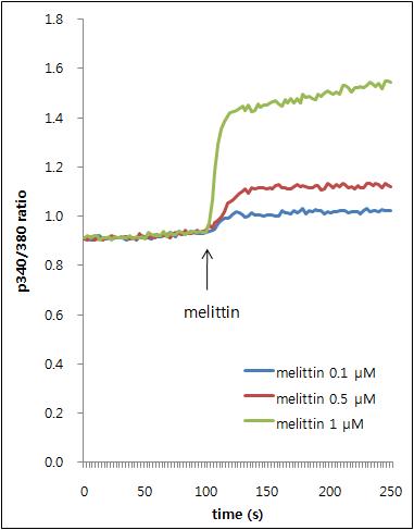 RBL 2H3 세포에서 melittin 농도에 따른 Ca2+이동