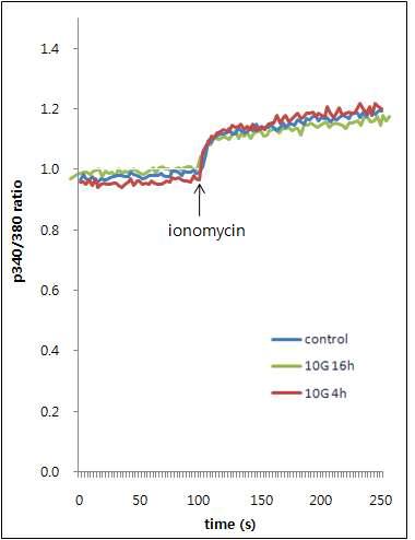 RBL 2H3 세포에서 ELF-EMF가 100 nM ionomycin에 의한 Ca2+이동에 미치는 영향