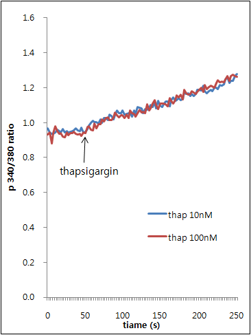 RBL 2H3 세포에서 thapsigargin 농도에 따른 Ca2+이동