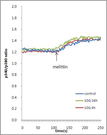 B16 세포에서 ELF-EMF가 0.5 μM melittin에 의한 Ca2+이동에 미치는 영향