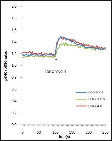 B16 세포에서 ELF-EMF가 100 nM ionomycin에 의한 Ca2+이동에 미치는 영향