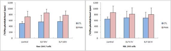 Raw 264.7 세포와 RBL 2H3 세포에서 ELF-EMF (10 G)가 기초상태 및 1 μM PMA 자극에 의한 phosphatidylethanol 생성에 미치는 영향