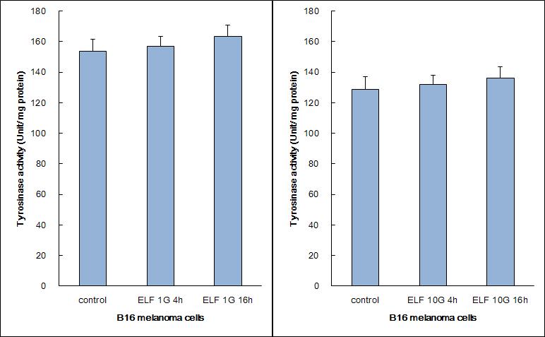 B16 세포에서 tyrosinase activity의 변화