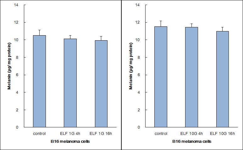 B16 세포에서 melanin 생성의 변화