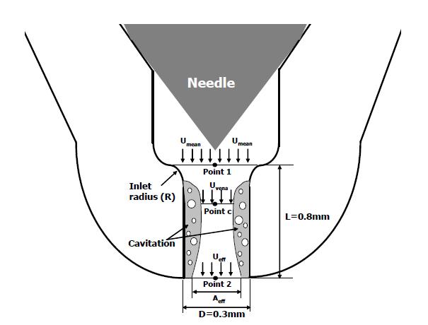 노즐 내의 유동과 캐비테이션