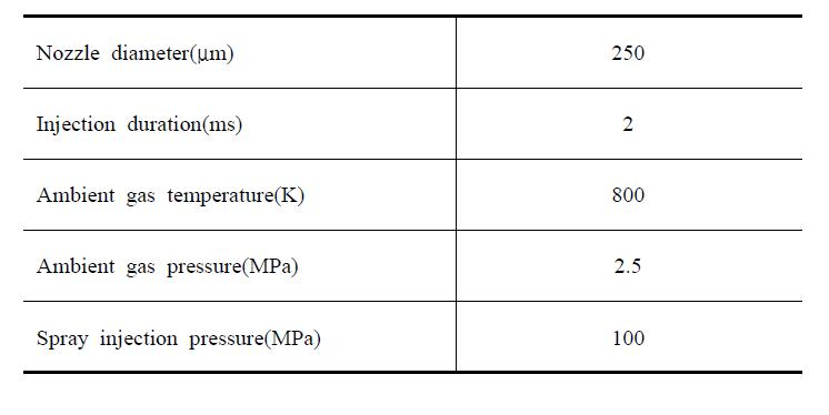 DME 분무의 계산 조건