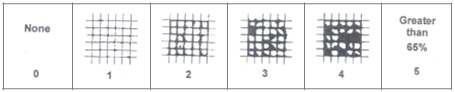 차량에서 도막 부착성 시험시 test 기준