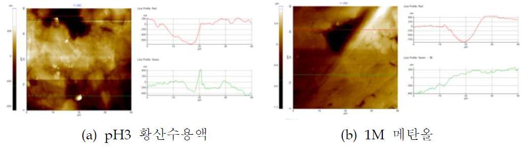 P30lC70(+CF 5%) 카본컴포지트 분리판의 leaching test 후 표면조도