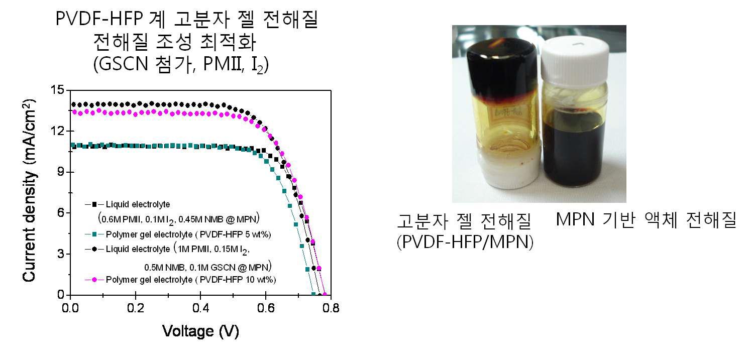 고분자 젤 전해질의 특성 평가