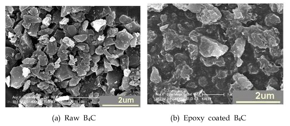 0.5 ㎛ B4C 입자 에폭시 - EA 표면처리 SEM 이미지