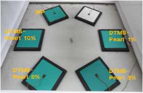 DTMS(3%)/Pearl (1, 3, 5, 10%) 첨가 도료 샘플