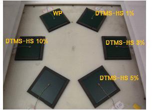 DTMS(3%)/HS (1, 3, 5, 10%) 첨가 도료 샘플