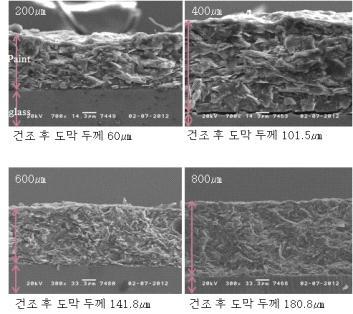 DTMS(3%)/Pearl (200, 400, 600, 800 ㎛) 도포 두께별 도료 샘플