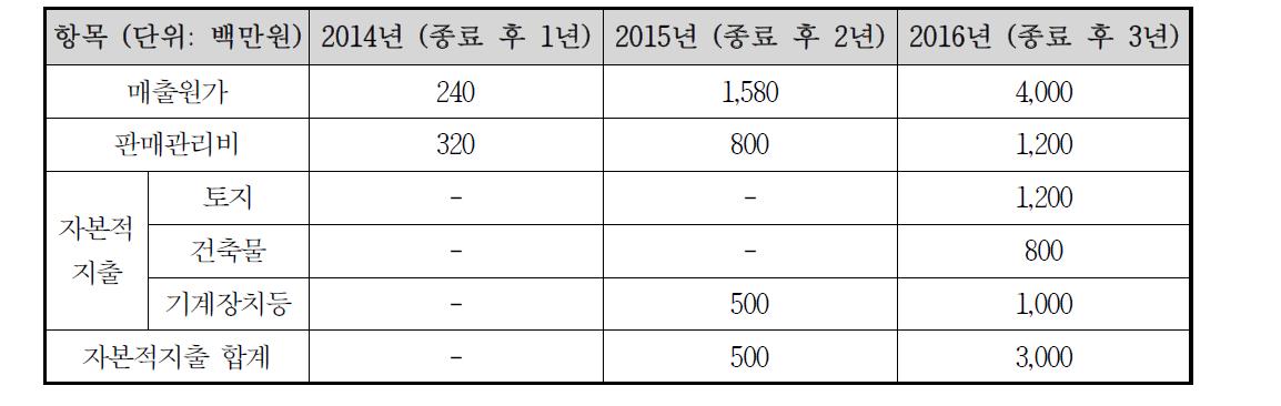 투자 계획 (개발종료 후 3년 계획)