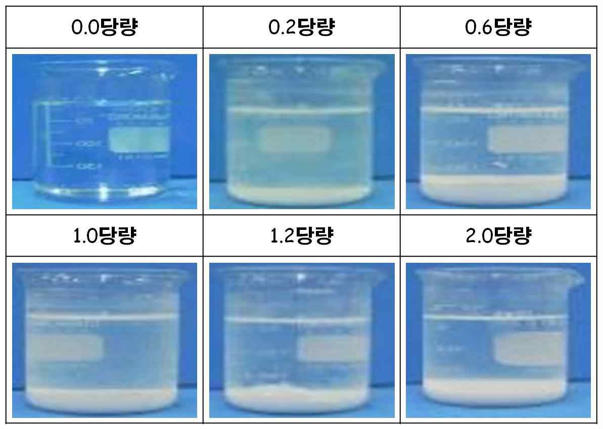 Mg 제거된 염수 내 Ca 회수 시 석출 형상.