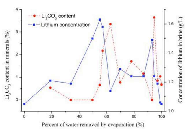 염수의 농축(25℃)시 증발량에 따른 리튬과 석출물 중 탄산리튬 변화.