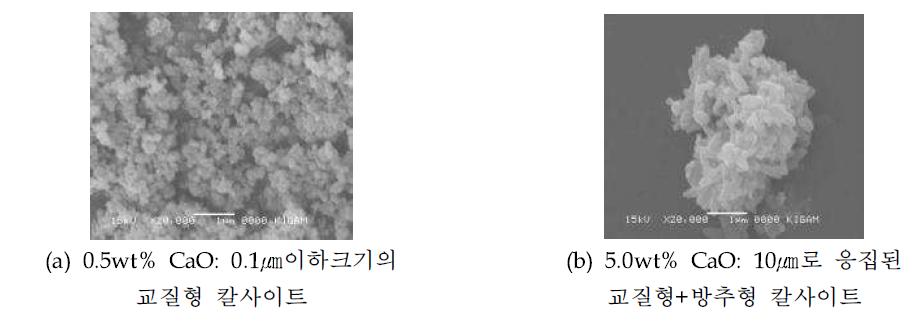 다른 CaO농도에서 합성된 침강성탄산칼슘 표면 특성