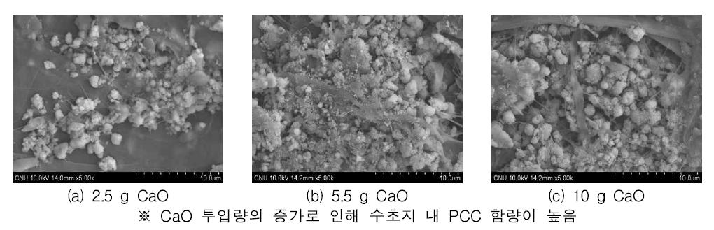 CaO 투입량에 따른 In-situ ONP 수초지의 표면 변화.