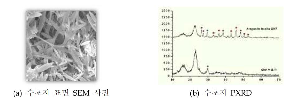 Aragonite-형 PCC 합성조건 적용 In-situ ONP 수초지의 표면분석 및 PXRD 분석