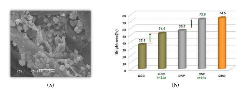(a) OCC 표면에 합성된 지름 1μm의 PCC 입자 및 (b) 백색도 향상.