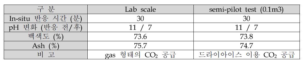 0.1 m Scale-up Semi-Pilot Test 결과