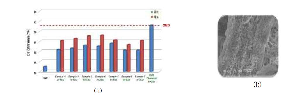 (a) 소각 비산재 (원료, 미소성 accept 시료; 하소, 소성 후 accept 시료) 활용 In-situ 실험 결과, (b) 소각 비산재를 활용해 얻어진 수초지 SEM 사진