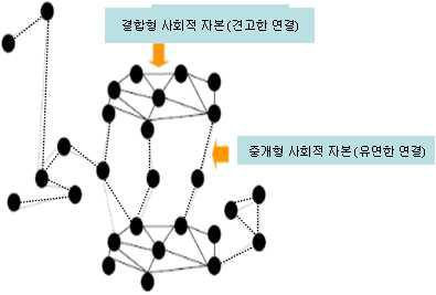 사회적 자본의 유형