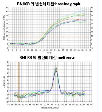 Real-time RT PCR을 통한 miRNA QC