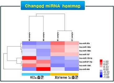 자일렌 노출군과 비노출군을 구분짓는 miRNA 후보군을 이용한 clustering