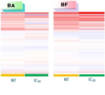 BA, BF 처리에 따른 miRNA 발현 패턴