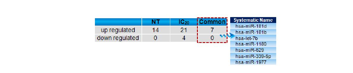 BA 처리에 의해서 발현이 2 fold 이상 증가 혹은 감소한 miRNA