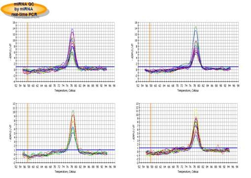 miRNA real-time RT PCR 기법을 이용한 40개 혈액시료로부터 추출된 miRNA QC