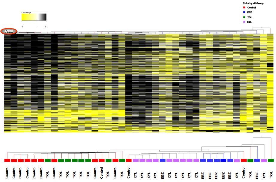 중점 비노출군과 3종의 VOCs 단독 노출군의 DNA methylation 변화 패턴