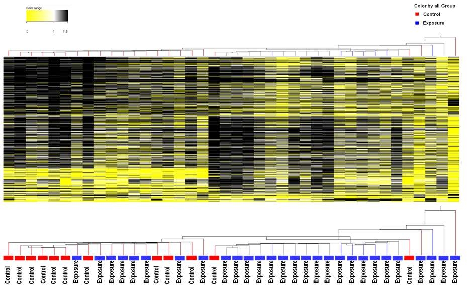 중점 비노출군과 VOCs 단독 노출군의 DNA methylation 변화 패턴