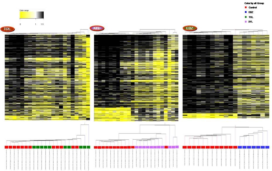 중점 비노출군과 3종의 VOCs 단독 노출군에 대한 각각의 DNA methylation 변화 패턴 비교